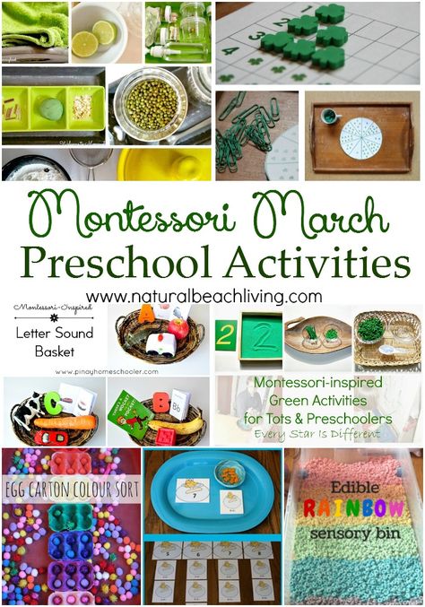 10 + Montessori March Preschool Activities, Color Trays, Dr. Suess, Practical Life, Language Baskets, Sensory Play, Montessori Math and More. Montessori Spring, Bird Activities, Flower Activities, March Preschool, Green Activities, Montessori Trays, Preschool Montessori, Montessori Activities Preschool, March Themes