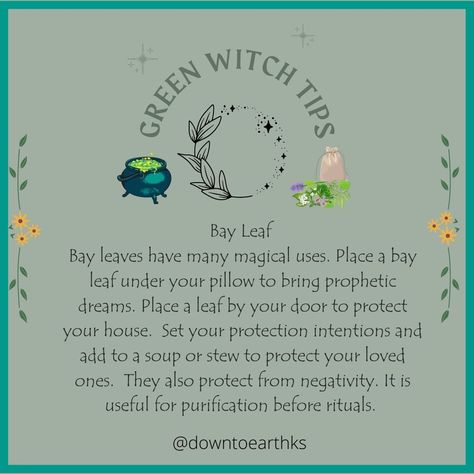 Green Witch Quotes, Green Witchery, Green Witch Tips, Green Witch Spells, Green Witchcraft Aesthetic, Plant Witch, Earth Witch, Hedge Witchery, Green Witch Aesthetic