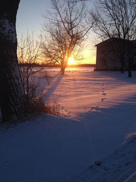 Sunrise in winter. Ontario,Canada countryside Ontario Countryside, Canada Countryside, Winter Sunset, English Countryside, Canada Travel, Ontario Canada, Ontario, Travel, Quick Saves