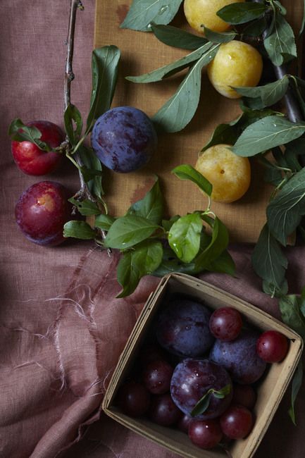 Different species of plum from above. Fruit Bowl Aesthetic, Bowl Aesthetic, Seared Salmon Recipes, Clafoutis Recipes, Dark Food Photography, Food Photography Props, Olive Oil Cake, Beautiful Food Photography, Pan Seared Salmon