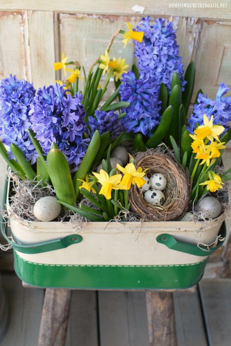 Spring Planter, Container Garden Design, Surrey Bc, Spring Centerpiece, Chalk It Up, Garden Bulbs, Easter Flowers, Flower Therapy, Spring Bulbs