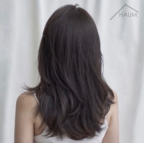 Medium Length Hair Inspo Straight, Korean Haircut Medium Layered Straight, Volume Layer Haircut U Shape Medium, Asian Haircut Medium Layered Straight, Long Hair Layers Asian, Hair Cuts Ideas Medium Straight, 2 Layer Haircut Medium, Asian Hair Layers Medium, Layered Asian Hair Medium