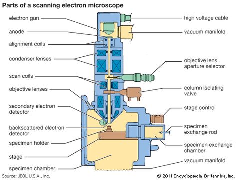 Dissecting Microscope, Scanning Electron Microscope Images, Microscope Images, Science Fiction Design, Electron Microscope Images, Scanning Electron Microscope, Microscope Kids, Lens Aperture, Science History