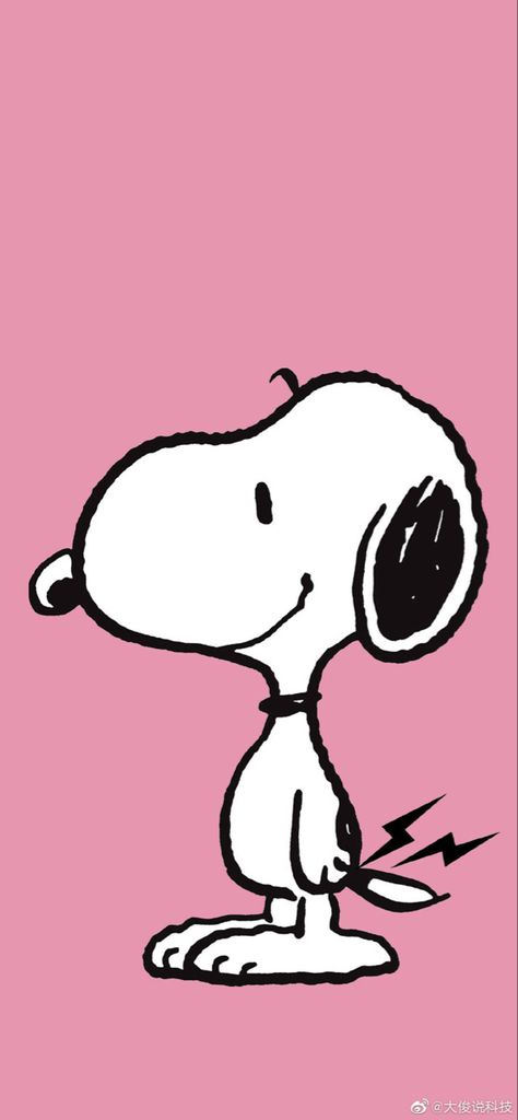 Wallpaper Senada, Wall Iphone, Snoopy Wallpaper, Canvas Drawing, Snoopy Pictures, Cool Wallpapers For Phones, Iphone Wallpaper Themes, Iphone Design, Cute Disney Wallpaper