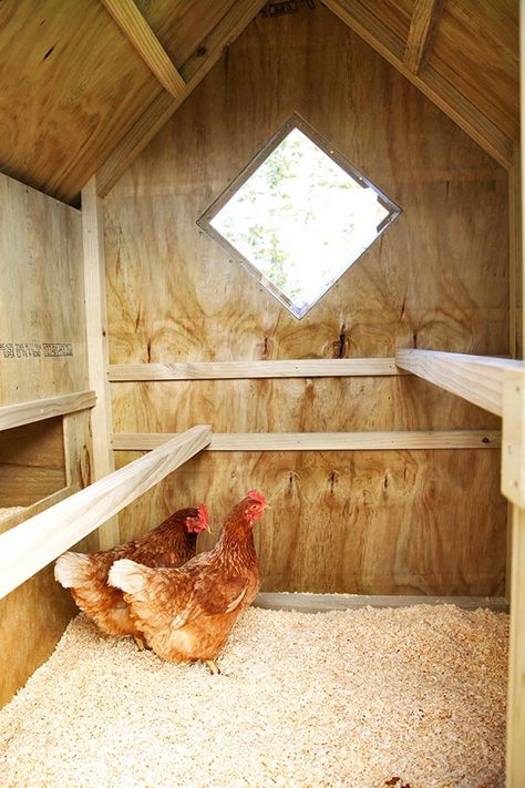 A 6 step guide to giving your coop a thorough clean out - thisNZlife Urban Chicken Coop, Chicken Coop Kit, Urban Chicken Farming, Portable Chicken Coop, Poultry House, Chicken Pen, Chicken Nesting Boxes, Urban Chickens, Coop Design