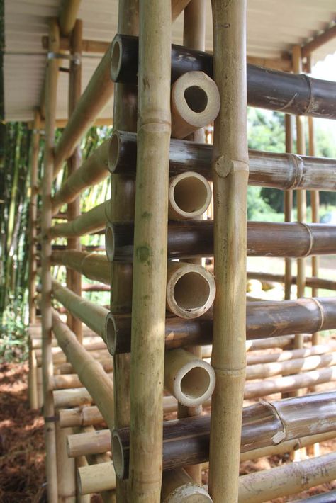 Diy Bamboo, Bamboo Diy, Bamboo Building, Bamboo House Design, Outdoor Walkway, Construction Engineering, Rustic Backyard, Bamboo Structure, Bamboo Architecture