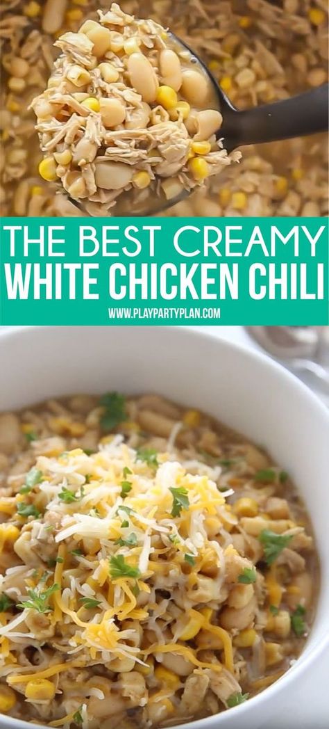 Chili Recipe Chicken, Creamy White Bean Chicken Chili, Best White Chicken Chili Recipe, White Bean Chicken Chili Recipe, Chili White, Cannellini Beans Recipes, White Chicken Chili Slow Cooker, Beans In Crockpot, White Chicken Chili Recipe