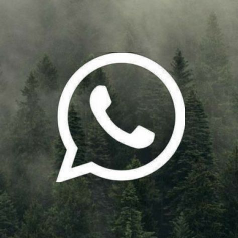 Forest Icons For Apps, Forest App, Widget Iphone, Twilight Aesthetic, Snapchat Icon, Twilight New Moon, Apple Icon, Phone Icons, Phone Aesthetic