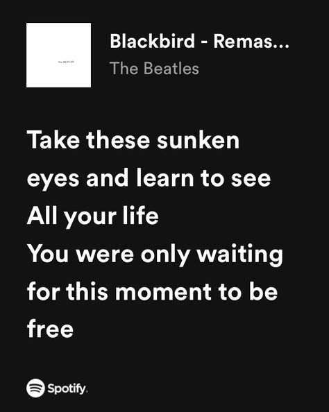 Meh Aesthetic, Blackbird Lyrics, Blackbird Beatles, Raymond Lee, Sunken Eyes, Beatles Lyrics, Lyrics Spotify, Hey Jude, Blackbird