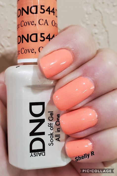 Coral Dnd Gel Polish, Dnd Peach Gel Polish, Orange Dnd Gel Polish, Dnd Oranges, Orange Nails Dnd, Dnd Swatches, Coral Gel Nails, Nails Dnd, Mail Color