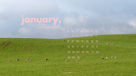 desktop wallpaper, green pasture hills, land with cows, pink text January Desktop Wallpaper Aesthetic, January Macbook Wallpaper, January Wallpaper Desktop, January Wallpaper, Desktop Wallpaper Calendar, January Calendar, Cute Desktop Wallpaper, Calendar Date, Calendar Wallpaper