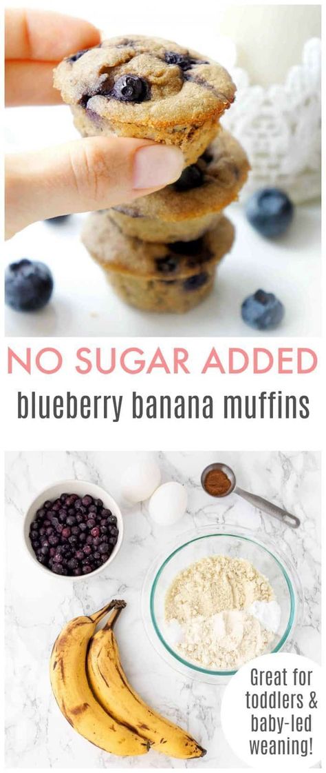 This recipe for Blueberry Banana Muffins is great for toddlers and baby-led weaning, plus these treats are packed full of healthy fats and fibre and are sweetened naturally so they contain no added sugar. Entirely gluten-free and vegetarian as well. Click to learn the recipe! Blueberry Banana Muffins, Mini Blueberry Muffins, Weaning Foods, Banana Blueberry Muffins, Easy Baby Food Recipes, Baby Led Weaning Recipes, Healthy Baby Food, Weaning Recipes, Baby Snacks