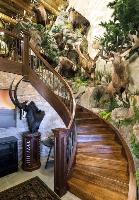 Custom Trophy Rooms | Trophy Room Design Service | Julian & Sons Trophy Rooms, Custom Trophies, King Ranch, Sense Of Place, Life Well Lived, Outdoor Lifestyle, Taxidermy, Service Design, Life Is Good