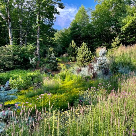 Native Plants Landscaping Nc, Native Landscape Design North Carolina, North Carolina Landscape, North Carolina Gardening, Northeast Native Garden, Native Garden Northeast, Sod Installation, Fine Gardening Magazine, North Carolina Mountains