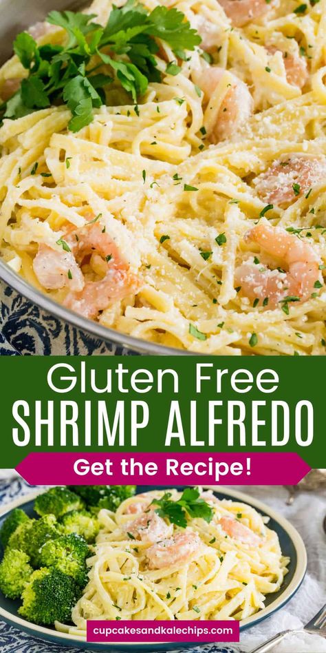 Indulge in the rich and decadent flavors of this Creamy Gluten-Free Shrimp Alfredo Pasta! Perfectly cooked shrimp meet luscious cream sauce over gluten-free fettuccine noodles. A delightful meal ready in under 30 minutes! Shrimp Pasta Recipes Gluten Free, Gluten Free Shrimp Alfredo Recipe, Gluten Free Fettuccine Alfredo, Gluten Free Shrimp Pasta, Dairy Free Shrimp Alfredo, Dairy Free Shrimp Recipes, Shrimp Pasta Sauce, Creamy Prawn Pasta, Gluten Free Shrimp Recipes