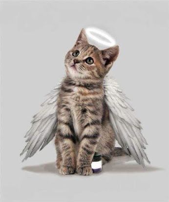 Pet Prayers, Cat Lego, Gato Angel, Animal Poems, Cat Heaven, Pet Sympathy Cards, Cat Loss, Cats Rule, Tabby Cats