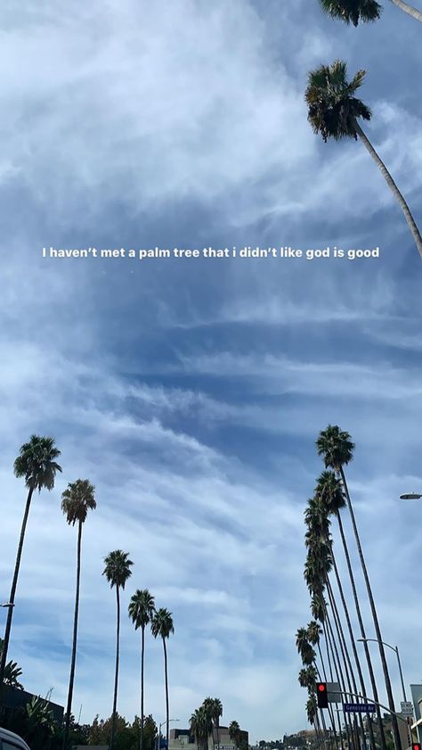 #palms #palmtrees #palmleaves Palm Tree Captions Instagram, Tree Captions, City Quotes, Video Caption, Palm City, Caption Ideas, Instagram Quotes Captions, Instagram Quotes, God Is Good