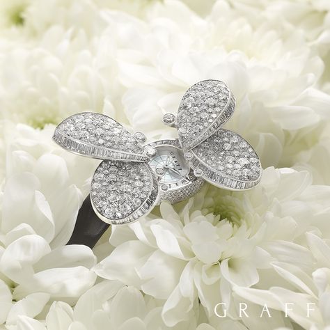 Graff Princess Butterfly Pearl Background, Graff Diamonds, Diy Butterfly, Princess Diamond, Precious Jewelry, Diamond Watch, Watches Jewelry, Brilliant Cut Diamond, Floral Rings