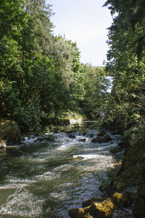 Washington State Aesthetic Wallpaper, Washington State Aesthetic, River Aethstetic, Pnw Scenery, Washington State Forest Aesthetic, Green River Gorge Washington, Small Town Names, Places Aesthetic, Earth Aesthetic