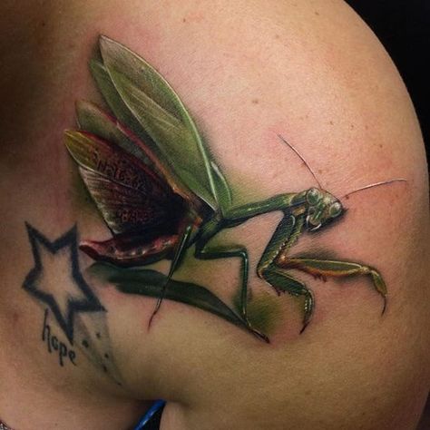 Discover | Tattoodo Praying Mantis Tattoo Color, Praying Mantis Tattoo, Mantis Tattoo, Bug Tattoo, Tattoo Color, Sleeve Ideas, Sleeves Ideas, Praying Mantis, Color Tattoo