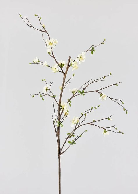 Tall, elegant cream artificial quince blossom flower branches are the key to styling vases for elevated home decorating and high-end interior design. Buy boutique faux florals for the best value now at Afloral.com. Quince Blossom, Den Remodel, Flower Branches, Floral Styling, Terracotta Floor, Blossom Branch, Handle Vase, Herb Pots, Beautiful Centerpieces