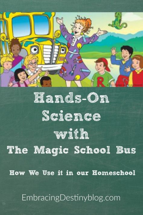 Elementary Homeschool, The Magic School Bus, Ms Frizzle, School Series, Homeschool Elementary, Homeschool Inspiration, Magic School Bus, Science Activities For Kids, Unit Studies