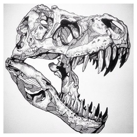 Only two days until Jurassic World comes out!! Insanely good drawing by @kirstielouiserogers_design & @mattmaddocksdesign (collaboration) #creativpaper T Rex Tattoo, Dinosaur Skull, Dinosaur Tattoos, Dinosaur Drawing, Desenho Tattoo, Dinosaur Art, Scientific Illustration, Tyrannosaurus Rex, Animal Skulls