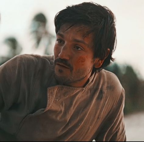 Cassian Andor, Mustache Men, Diego Luna, It's A Secret, Holy Trinity, Star Wars Characters, Celebrity Crush, A Man, Favorite Character