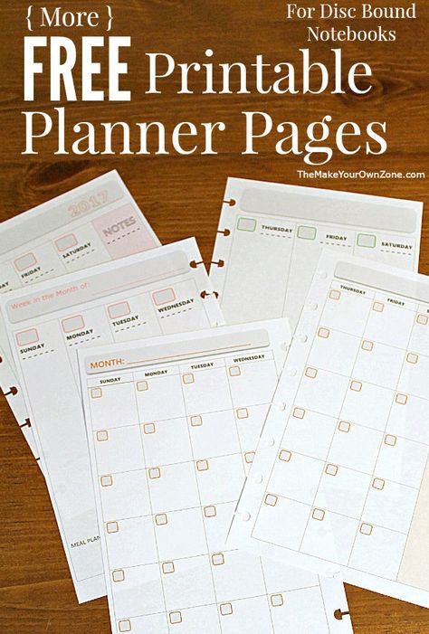 Free printable 2017 planner pages - perfect for the junior size Arc notebook or other disc bound planner systems