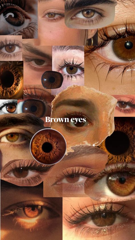 People With Brown Eyes When The Sun, Brown Eye Types, Bright Hazel Eyes, Rare Eye Colors Gold, Cognac Brown Eyes, Reddish Brown Eyes, Aesthetic Brown Eyes, Watercolour Eyes, Blue Brown Eyes