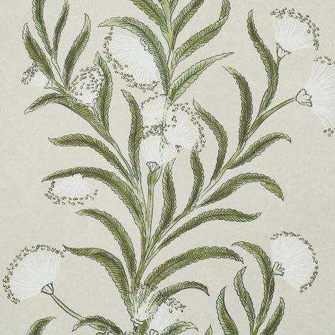 Tasmanian Mimosa - Ivory & Green Wallpapers | Schumacher Mix Modern And Antique, Wallpaper Powder Room, Botanical Interior, Celerie Kemble, Fern Wallpaper, Schumacher Wallpaper, Powder Room Design, Types Of Rooms, Botanical Wallpaper