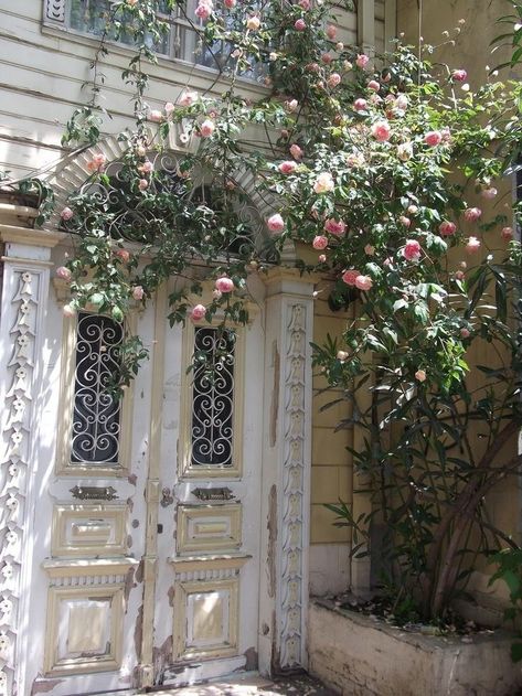 Conversion of A French Man (Fleaing France Brocante Society) Porte Cochere, Climbing Roses, Unique Doors, Beautiful Doors, Pretty Places, Cottage Garden, Future House, Garden Arch, Deep Purple