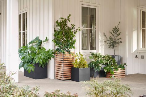 Outdoor Project: Five Tips for Creating an Ideal At-Home Retreat, from Rejuvenation - Gardenista Cafe Curtain Rods, Rectangle Planters, Outdoor Doors, Tall Planters, Square Planters, Wall Art Wallpaper, Garden Tours, Outdoor Pendant, Outdoor Dining Furniture