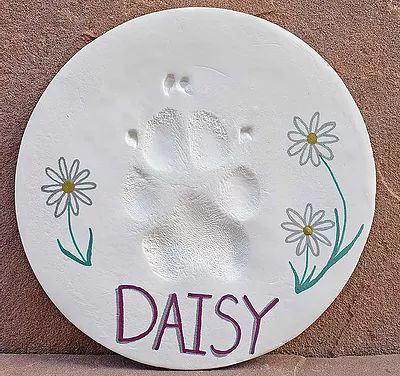 Dog Paw Clay Print, Dog Clay Paw Print, Clay Paw Print, Memory Diy, Earth Cake, Doggy Daycare, Pet Paw Print, Min Min, Cat Paw Print