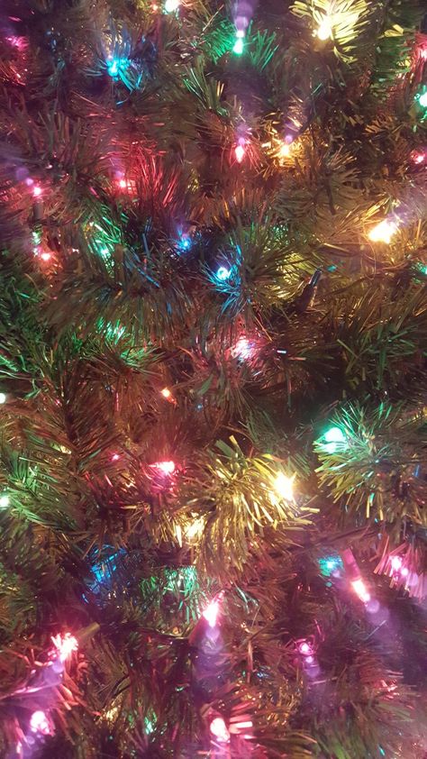 Christmas tree close-up 2017 Christmas Tree Up Close, Close Up Christmas Tree, Winter Artwork, Christmas 2024, Retro Christmas, All Things Christmas, Christmas Trees, Close Up, Trees