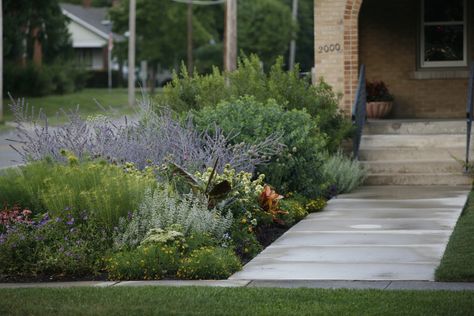 The early 20th-century prairie-style gardens Jens Jensen designed for Chicago parks and private clients celebrated the Great Plains. 10 ideas to steal: Leaves Of Grass, Perennial Grasses, Front Garden Landscape, Prairie Garden, Garden Shrubs, Front Lawn, Front Yard Garden, Garden Boxes, Desert Landscaping