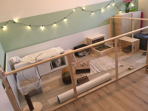 Indoor Bunny House, Diy Bunny Cage, Indoor Rabbit House, Diy Rabbit Cage, Indoor Rabbit Cage, Rabbit Hutch Indoor, Diy Guinea Pig Cage, Rabbit Enclosure, Rabbit Habitat