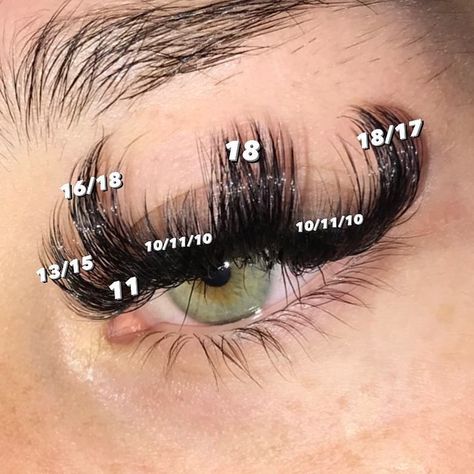 Lash Patterns, Lash Ideas, Lash Maps, Lash Map, Lash Mapping, Vision Bored, Eyelashes Extensions, Mink Eyelash Extensions, Perfect Eyelashes