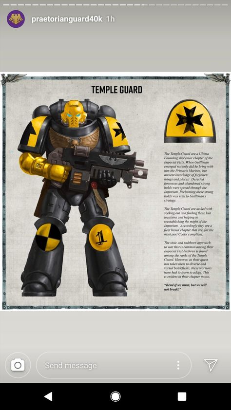 Space Marine Successor Chapters, Warhammer Lore, Warhammer Marine, Chapter Ideas, Fallout Funny, Space Soldier, Space Marine Art, Warhammer Figures, Adeptus Astartes