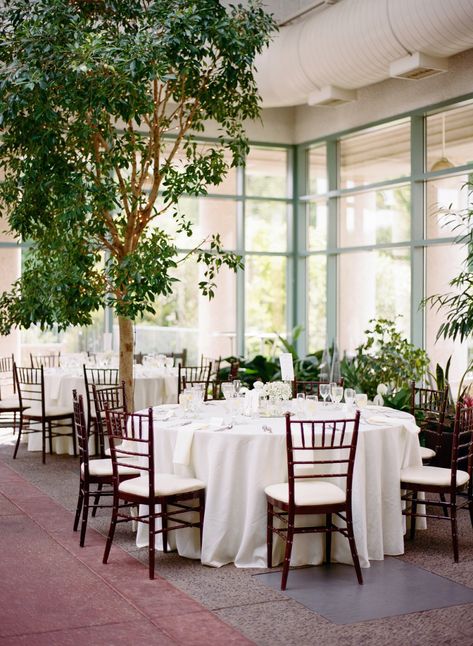 indoor wedding reception with trees | Photography: Audra Wrisley Dusty Blue Gown, Wedding Centerpieces Romantic, Wedding Centerpieces Simple, Wedding Centerpieces Elegant, Vienna Virginia, Indoor Wedding Inspiration, Greenery Centerpieces, Best Wedding Websites, Creative Wedding Centerpieces