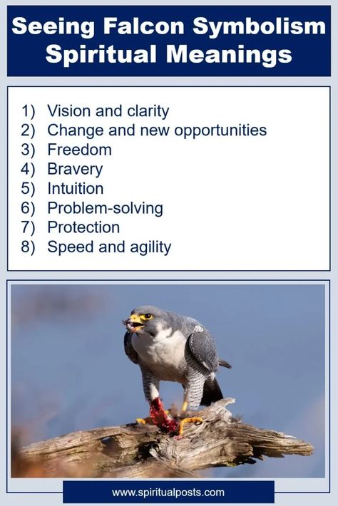 Falcon Spiritual Meaning, Spiritual Meaning, Animal Totems, New Opportunities, Problem Solving, Meant To Be, Spirituality