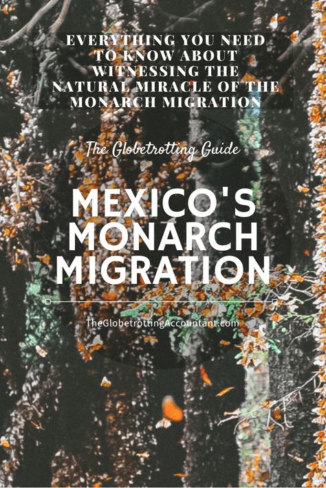 Monarch Butterfly Facts, Moon Vision Board, Aries New Moon, Butterfly Garden Ideas, Monarch Migration, Monarch Butterfly Migration, April Aries, Butterfly Facts, Butterfly Migration