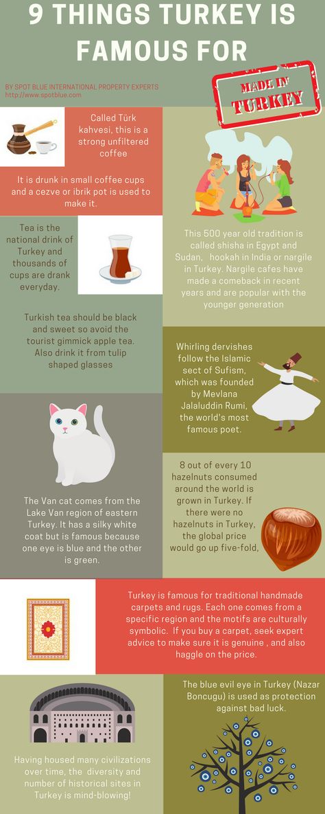 18 Famous Things in Turkey - Spot Blue Travelling Turkey, Visit Turkey Travel Guide, Turkey Facts, Turkey History, Turkey Calling, Small Coffee Cups, Turkey Country, Country School, Visit Turkey