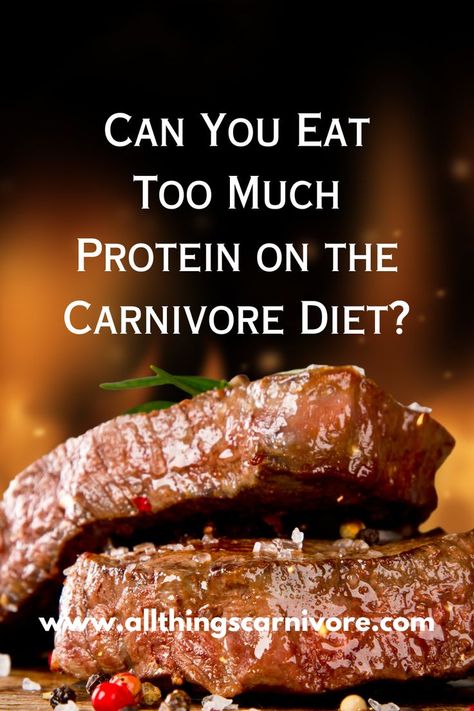 Text "Can You Eat Too Much Protein on the Carnivore Diet? www.allthingscarnivore.com" on the background image of some cooked steaks Carnivore Diet Priming, How Much To Eat On Carnivore Diet, Judy Cho Carnivore, What To Eat On Carnivore Diet, Carnivore Diet Drinks, Carnivore Diet Before And After Women, Carnivore Diet For Beginners, Ketovore Recipes, Caveman Diet Food List