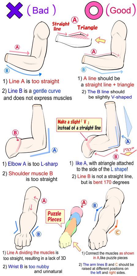 (1) Paula🌹 (@NasukiChan) / Twitter 남성 근육, Anatomy Tutorial, Body Drawing Tutorial, Human Anatomy Drawing, Human Anatomy Art, Body Reference Drawing, Gambar Figur, Body Anatomy, Digital Painting Tutorials