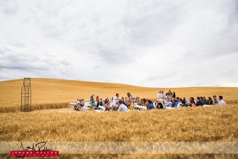 A wedding in the middle of a wheat field is a great way to spend a Saturday afternoon. #washington #pullman #palouse #ceremony #wheat #wheatfield #uniqueceremony Open Field Wedding Decorations, Cotton Field Wedding, Field Reception, Wheat Field Wedding, Wheat Field Wedding Ceremony, Grassy Field Wedding Ceremony, Field Wedding, March Wedding, Wheat Fields