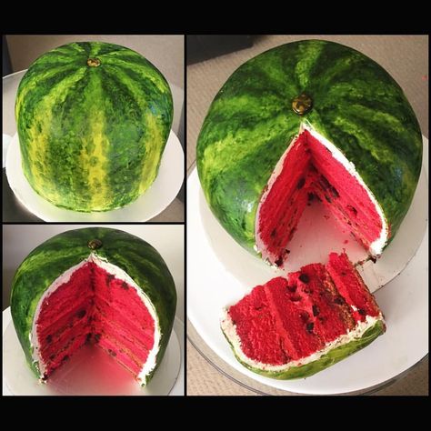 Watermelon Shaped Cake, Fruit Shaped Cake, Watermelon Cake Design, Food Imposters, Watermelon Cakes, Watermelon Cake Birthday, Pink Velvet Cakes, How To Cake, Tropical Cake