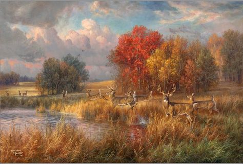 Cabin Art, Deer Art, Country Charm, Country Farm, Country Art, Nature Paintings, Deer, Painter, Nature Photography