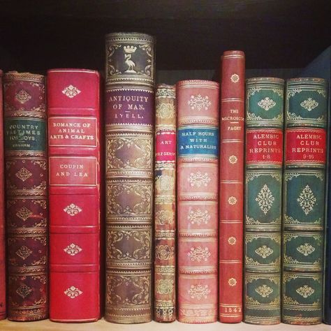 Comprehensive advice on how to begin collecting rare books, especially rare science books. Rare Books Collection, Book Bibliography, Bookcase Quilts, Enchanted Library, Book Spines, How To Play Chess, Quiet Space, Play Chess, Book Spine