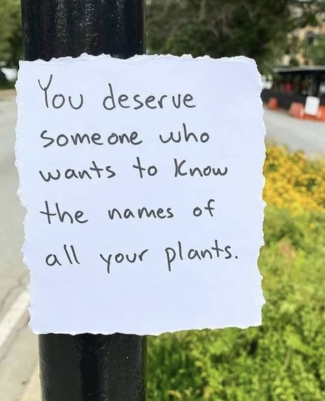 Plant Mom, Pretty Words, Quote Aesthetic, Pretty Quotes, The Words, Beautiful Words, True Quotes, You Deserve, Words Quotes